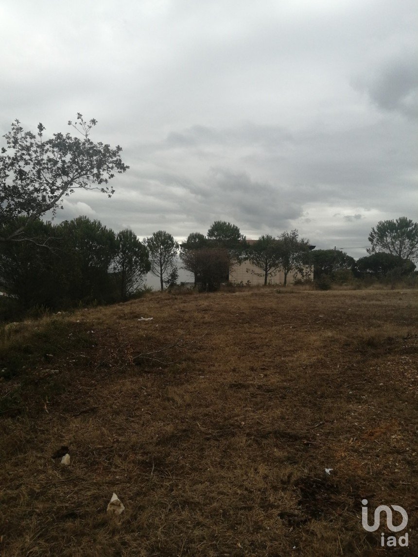 Land in Maiorca of 1,515 m²
