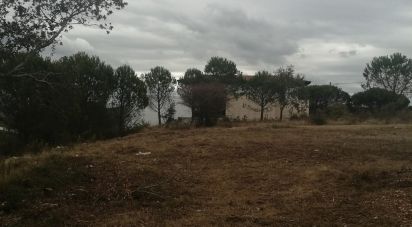 Land in Maiorca of 1,515 sq m