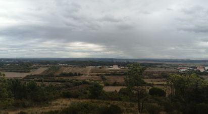 Terrain à Maiorca de 1 515 m²