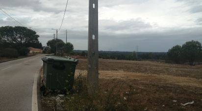 Terrain à Maiorca de 1 515 m²