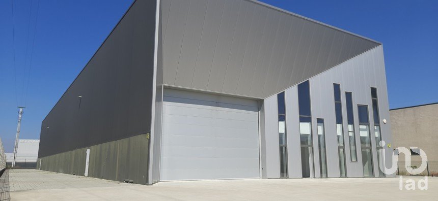 Commercial walls in Cantanhede e Pocariça of 1,224 m²