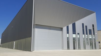 Espaço Comercial em Cantanhede e Pocariça de 1 224 m²