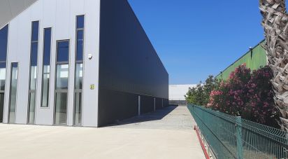 Espaço Comercial em Cantanhede e Pocariça de 1 224 m²