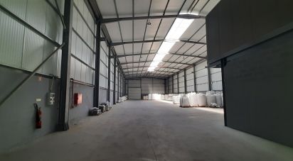 Espaço Comercial em Cantanhede e Pocariça de 1 224 m²