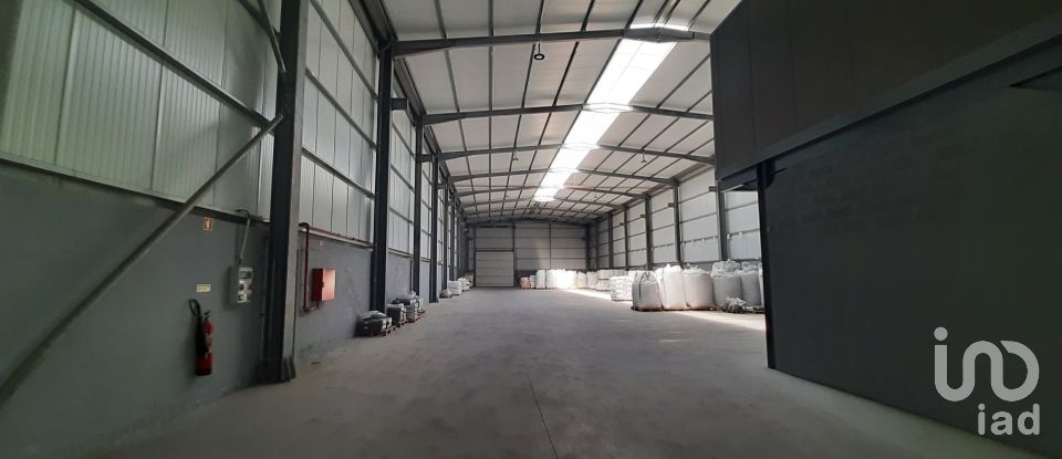 Commercial walls in Cantanhede e Pocariça of 1,224 m²