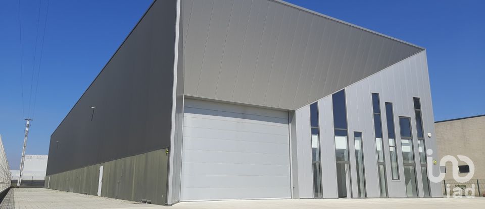 Commercial walls in Cantanhede e Pocariça of 1,224 m²