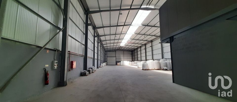 Commercial walls in Cantanhede e Pocariça of 1,224 m²