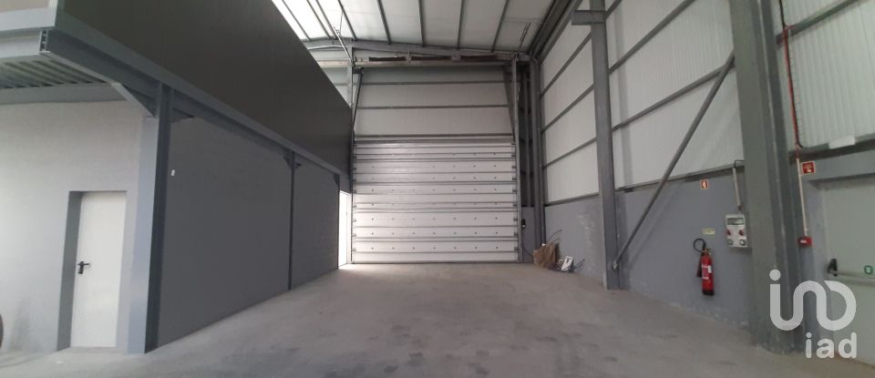 Commercial walls in Cantanhede e Pocariça of 1,224 m²