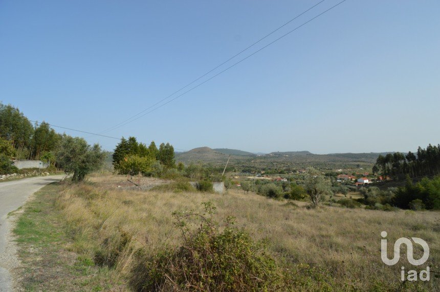 Terreno em Alvorge de 3 365 m²