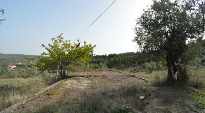 Land in Alvorge of 3,365 m²