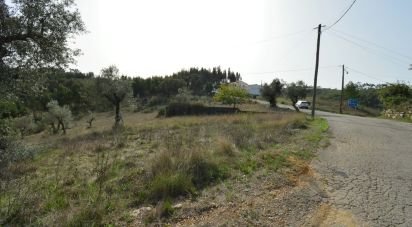 Land in Alvorge of 3,365 m²