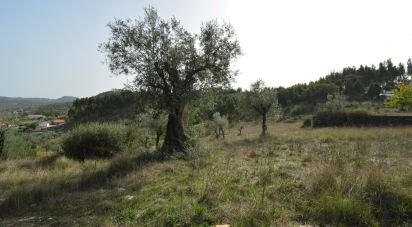 Land in Alvorge of 3,365 m²
