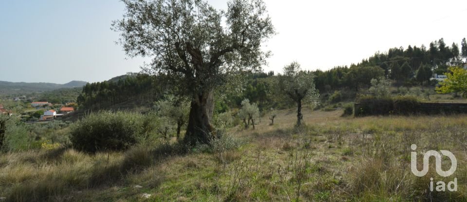 Terreno em Alvorge de 3 365 m²