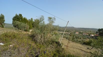 Land in Alvorge of 3,365 m²