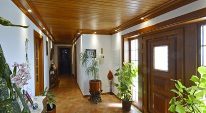 Maison T6 à Poceirão e Marateca de 10 000 m²