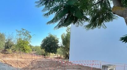 Building land in Tavira (Santa Maria e Santiago) of 255 sq m