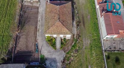 Ferme T5 à Madalena e Samaiões de 23 834 m²