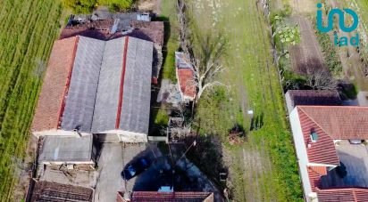 Ferme T5 à Madalena e Samaiões de 23 834 m²