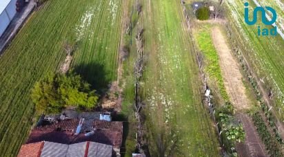 Ferme T5 à Madalena e Samaiões de 23 834 m²