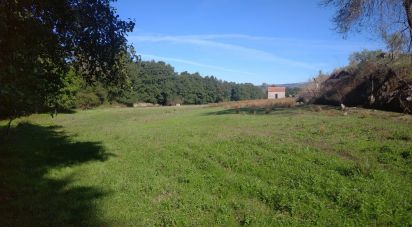 Terrain à Vila Cortês da Serra de 9 200 m²