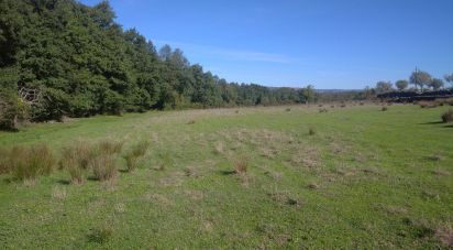 Terrain à Vila Cortês da Serra de 9 200 m²