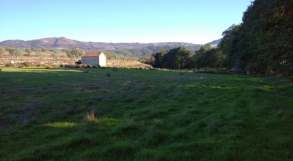 Terrain à Vila Cortês da Serra de 9 200 m²