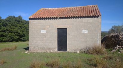 Terrain à Vila Cortês da Serra de 9 200 m²