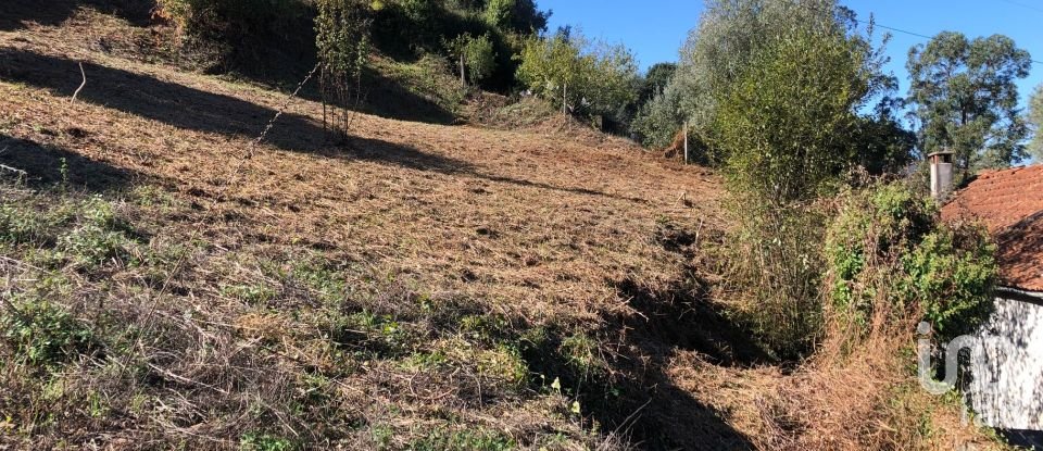 Building land in Ceira of 1,330 m²