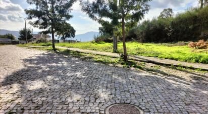 Terrain à Cardielos e Serreleis de 393 m²