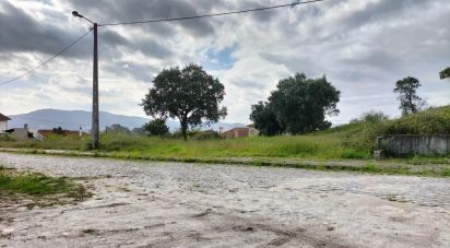 Terrain à Cardielos e Serreleis de 393 m²