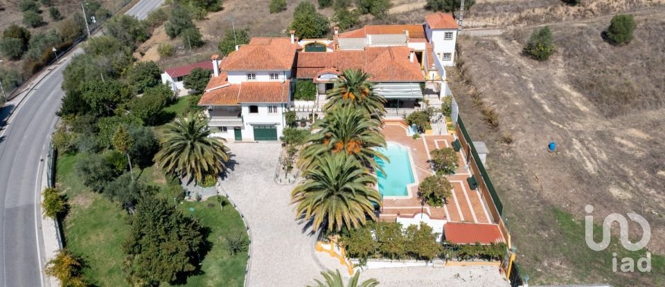 Quinta T8 em Torres Novas (São Pedro), Lapas e Ribeira Branca de 840 m²