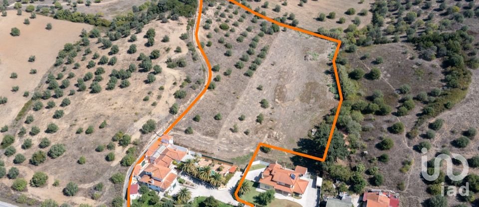 Quinta T8 em Torres Novas (São Pedro), Lapas e Ribeira Branca de 840 m²
