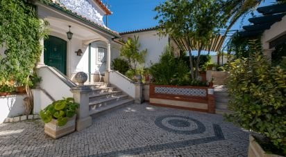 Ferme T8 à Torres Novas (São Pedro), Lapas e Ribeira Branca de 840 m²