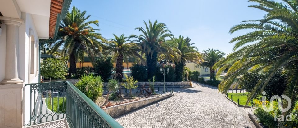 Quinta T8 em Torres Novas (São Pedro), Lapas e Ribeira Branca de 840 m²