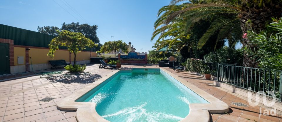 Quinta T8 em Torres Novas (São Pedro), Lapas e Ribeira Branca de 840 m²