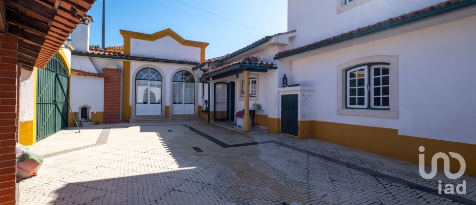 Quinta T8 em Torres Novas (São Pedro), Lapas e Ribeira Branca de 840 m²