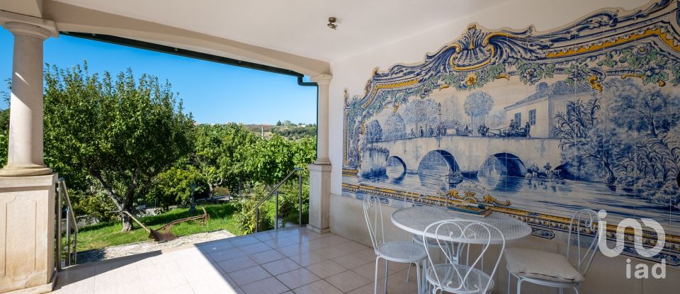 Quinta T8 em Torres Novas (São Pedro), Lapas e Ribeira Branca de 840 m²