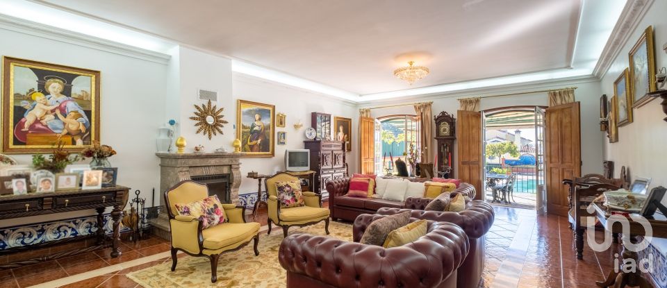 Quinta T8 em Torres Novas (São Pedro), Lapas e Ribeira Branca de 840 m²