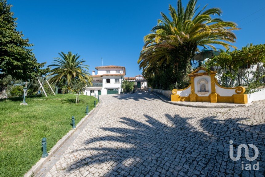 Quinta T8 em Torres Novas (São Pedro), Lapas e Ribeira Branca de 840 m²