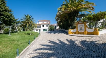 Ferme T8 à Torres Novas (São Pedro), Lapas e Ribeira Branca de 840 m²