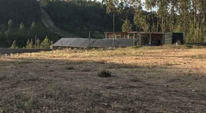Restaurant à Rio de Couros e Casal dos Bernardos de 296 m²
