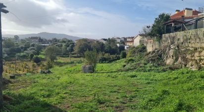 Terrain à Cardielos e Serreleis de 684 m²