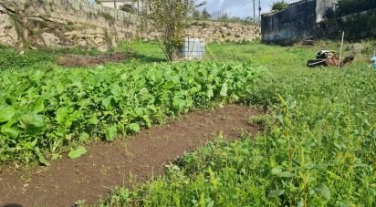 Terrain à Cardielos e Serreleis de 684 m²