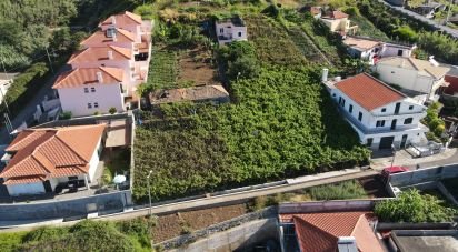 Terrain à Estreito de Câmara de Lobos de 1 325 m²