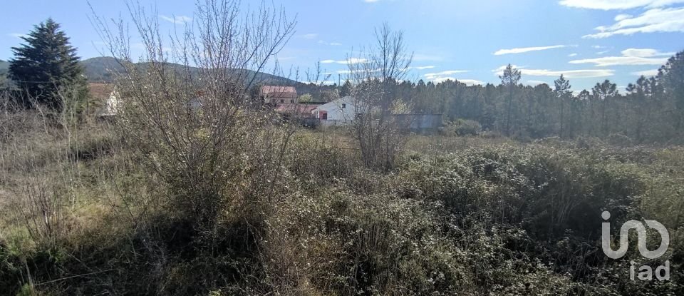 Land in Bárrio e Cepões of 66,425 m²