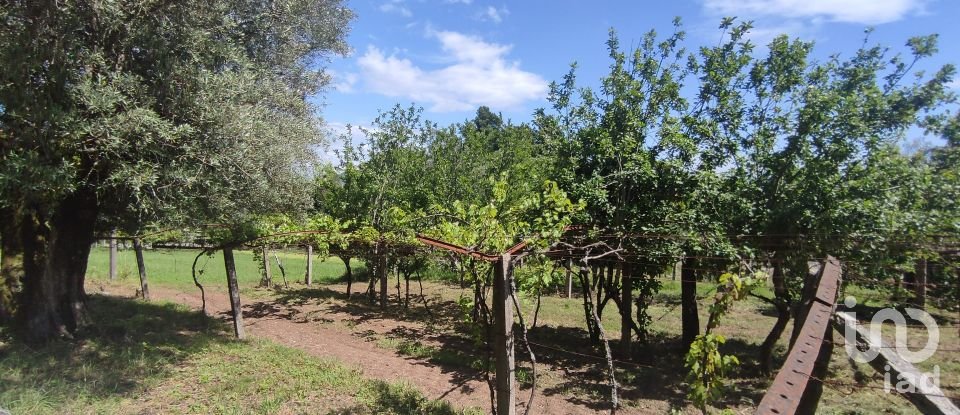 Ferme T2 à Cardielos e Serreleis de 166 m²