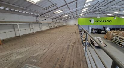 Murs commerciaux à Anha de 1 408 m²