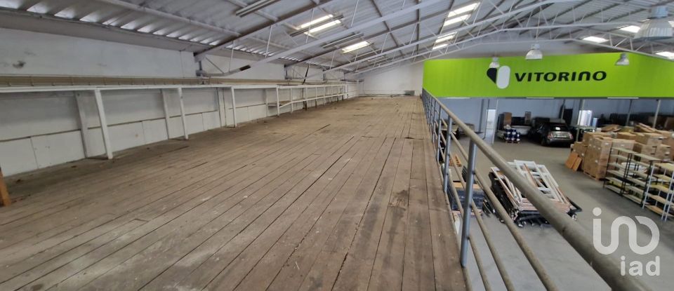 Espaço Comercial em Anha de 1 408 m²