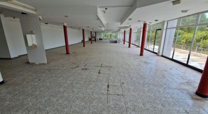 Murs commerciaux à Anha de 1 843 m²