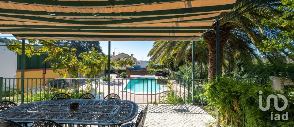 Quinta T8 em Torres Novas (São Pedro), Lapas e Ribeira Branca de 840 m²